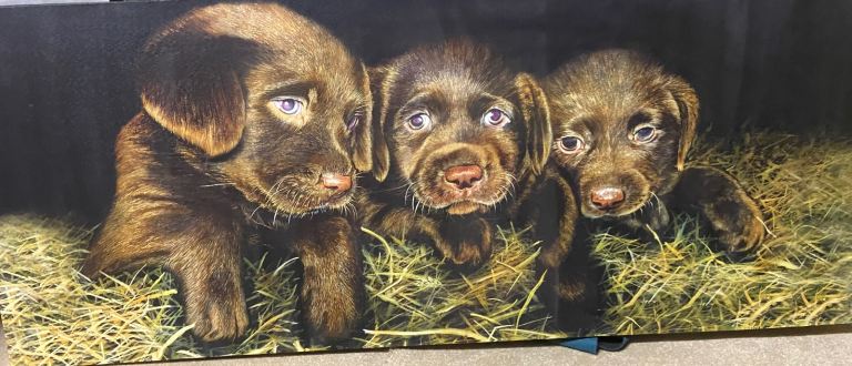 Screen print of puppies 