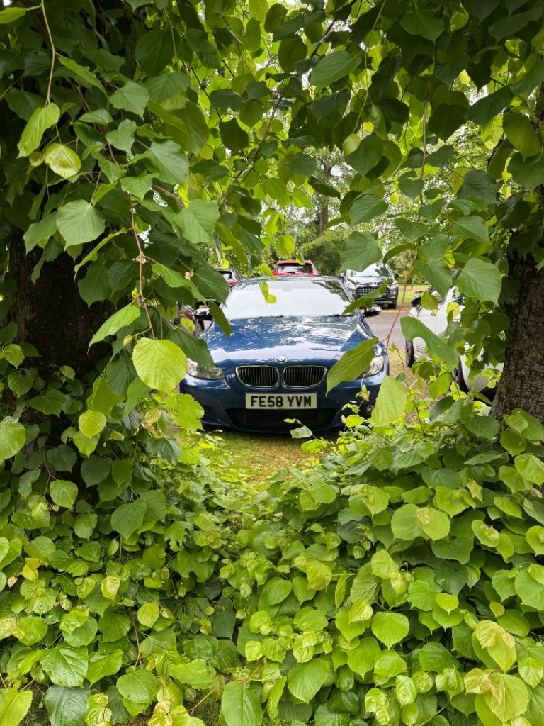 BMW 330d convertible 