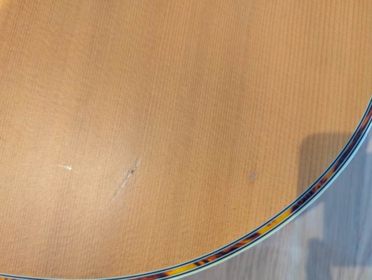 Freshman FA1AN electro acoustic guitar with bag