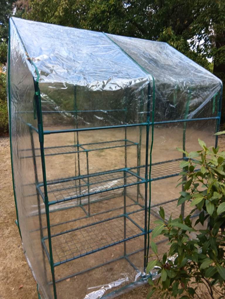 Small Garden Greenhouse with Shelves – Good Condition