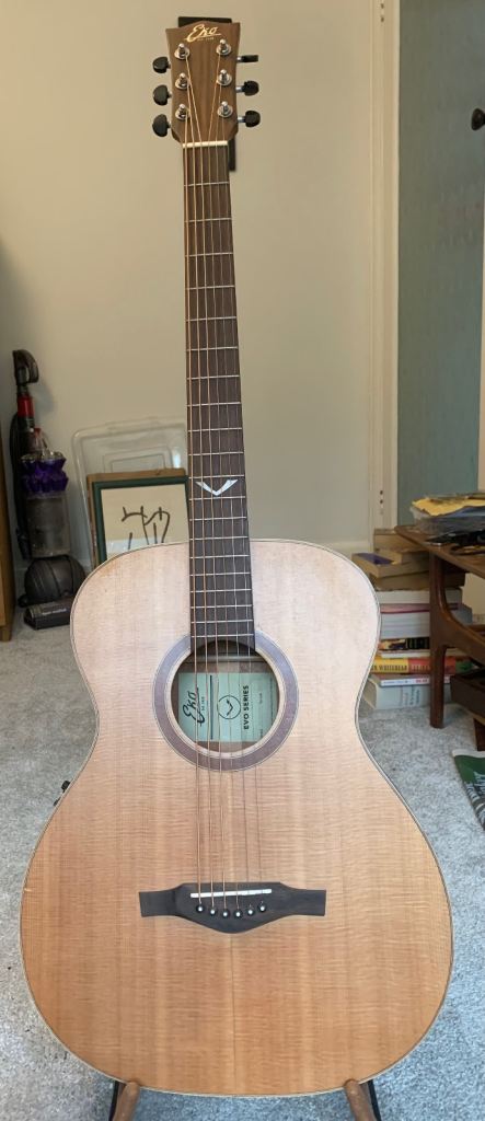 Eko Evo EQ baritone acoustic