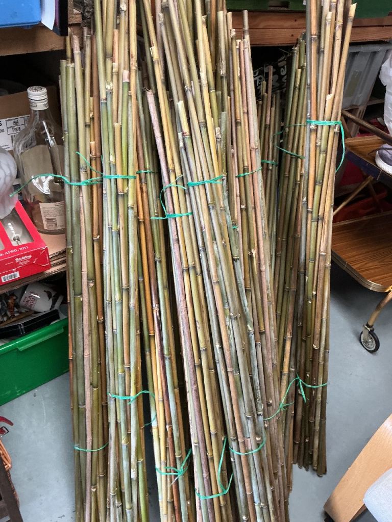 BAMBOO STAKES FOR GARDEN ETC VARIOUS AMOUNTS / HEIGHT SEVERAL BUNDLES £4 PER LOT IN ELGIN