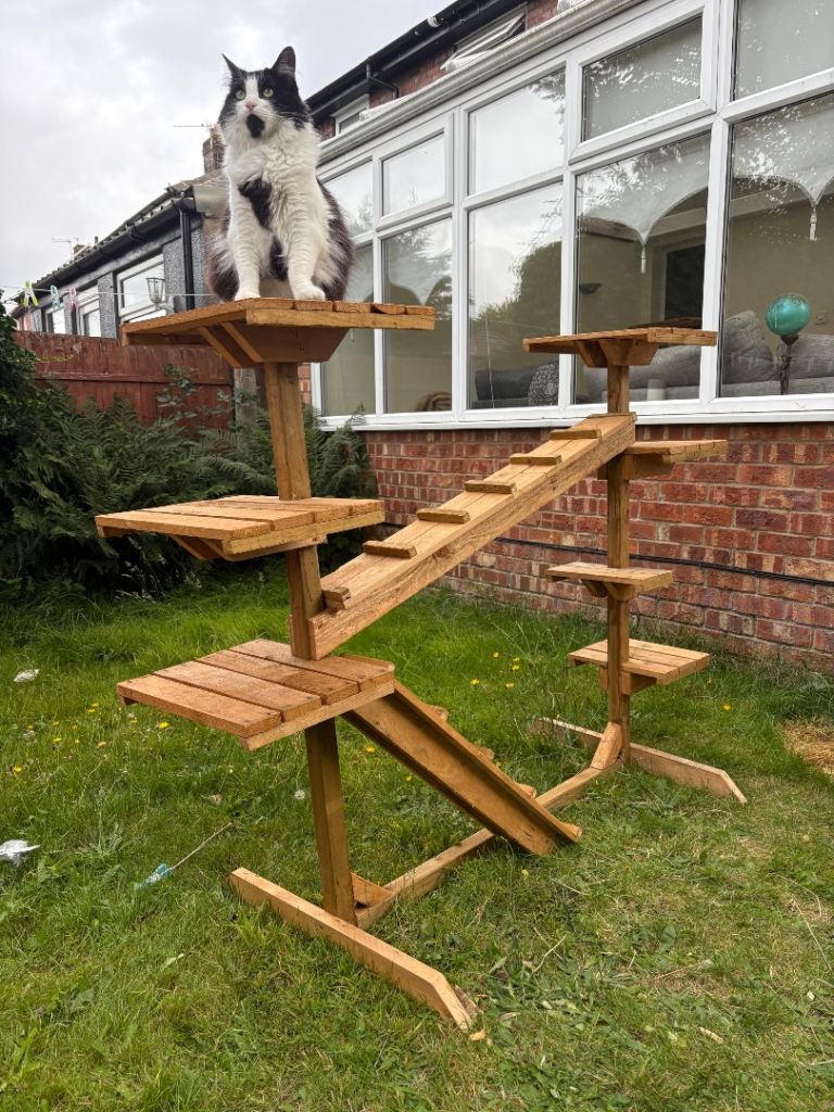 Wooden Cat Tree