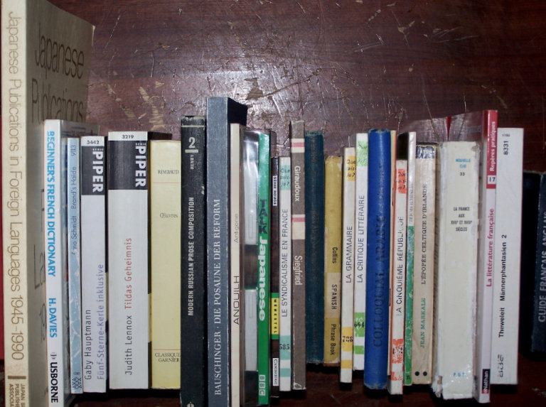 Lots of foreign language books! French, Spanish, German, Japanese, (non-) fiction, drama. Cheap! 😉