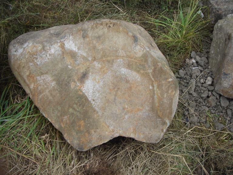 Medium size pond/garden boulder