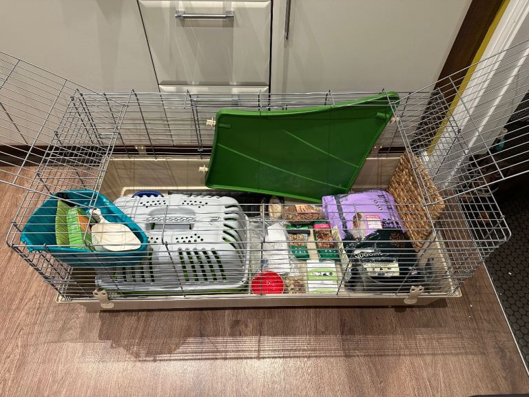 Guinea Pig Indoor Cage, Pet Carrier and Accessories