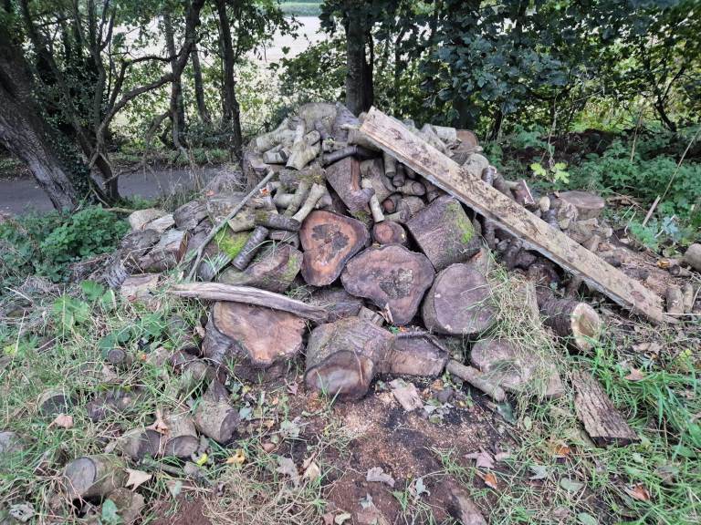 Free Wood For Your Woodburner