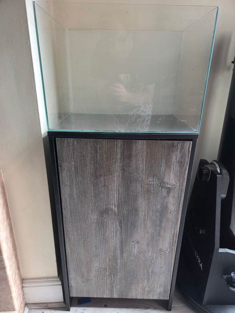 Premium Aquascape Setup – Perfect Entry into High-Tech Scaping
