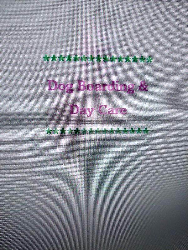 The Dog Nanny - Dog Boarding 