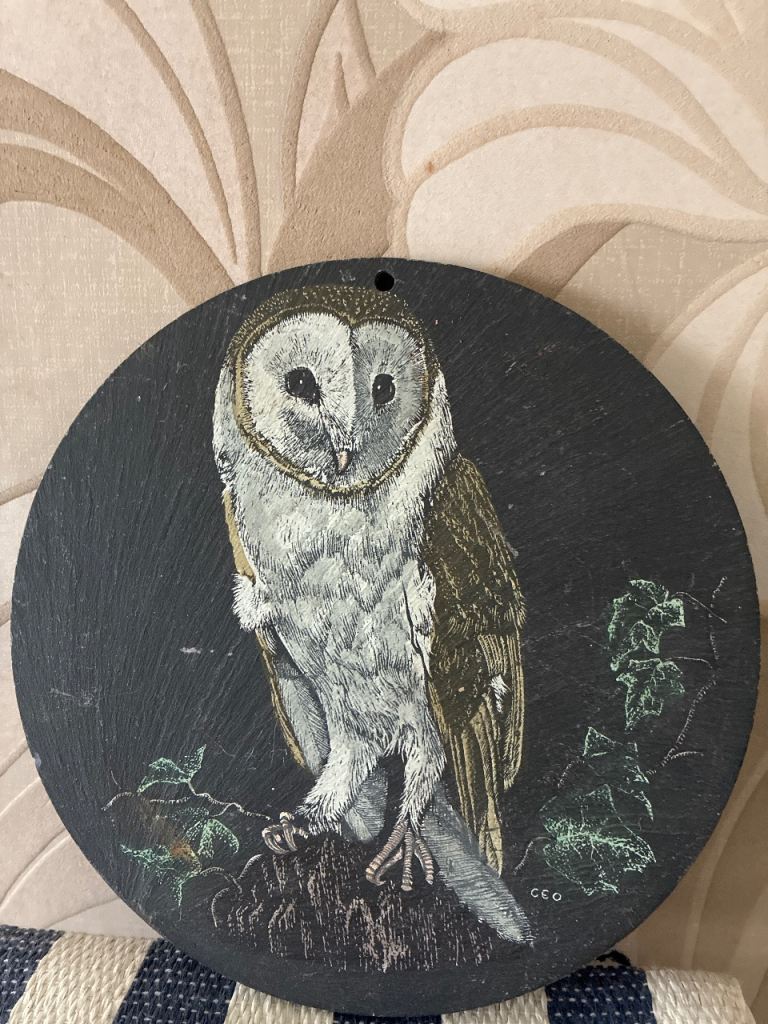 Barn owl art