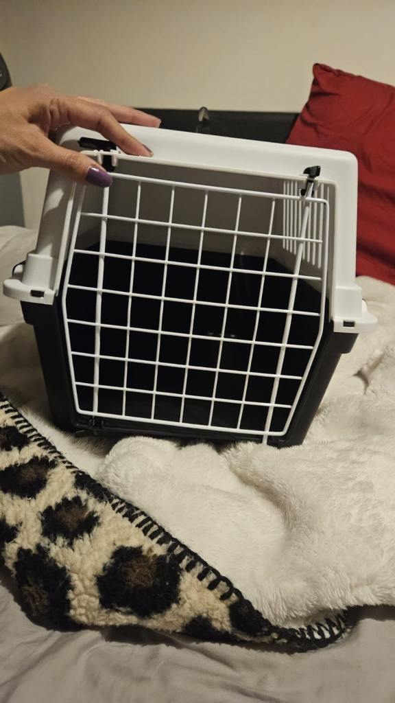 Kitten carrier small 