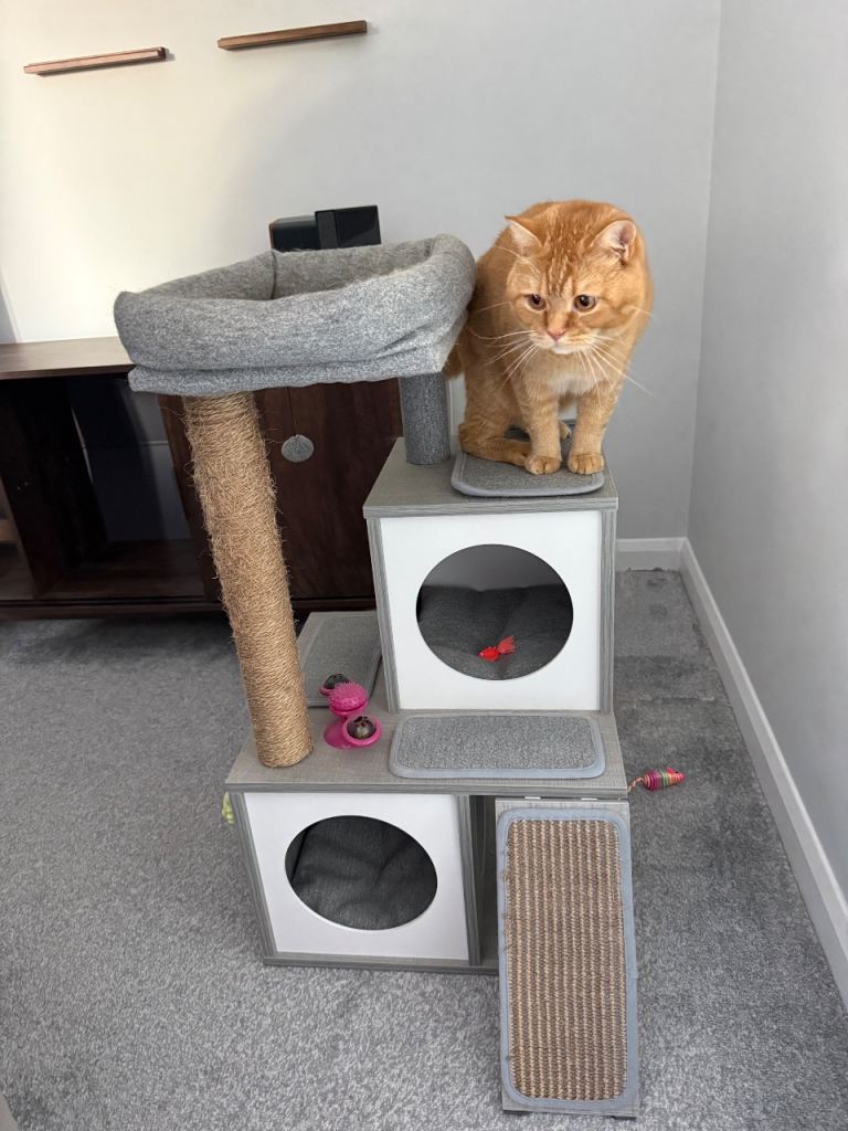Cat Tree with scratch post