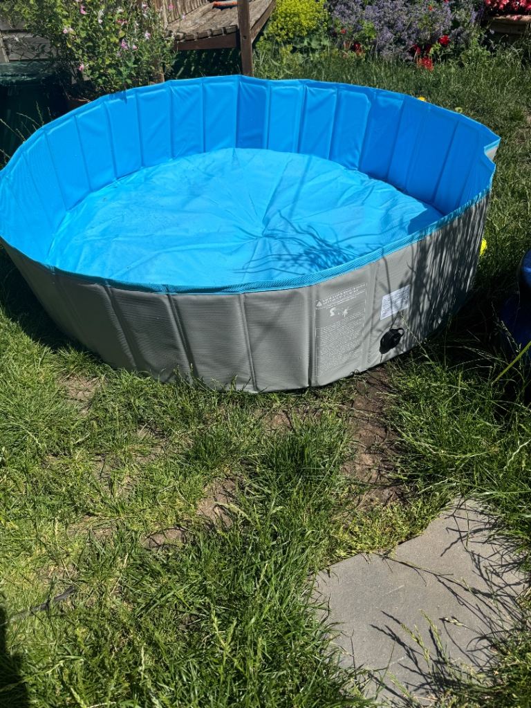 Folding pet paddling pool