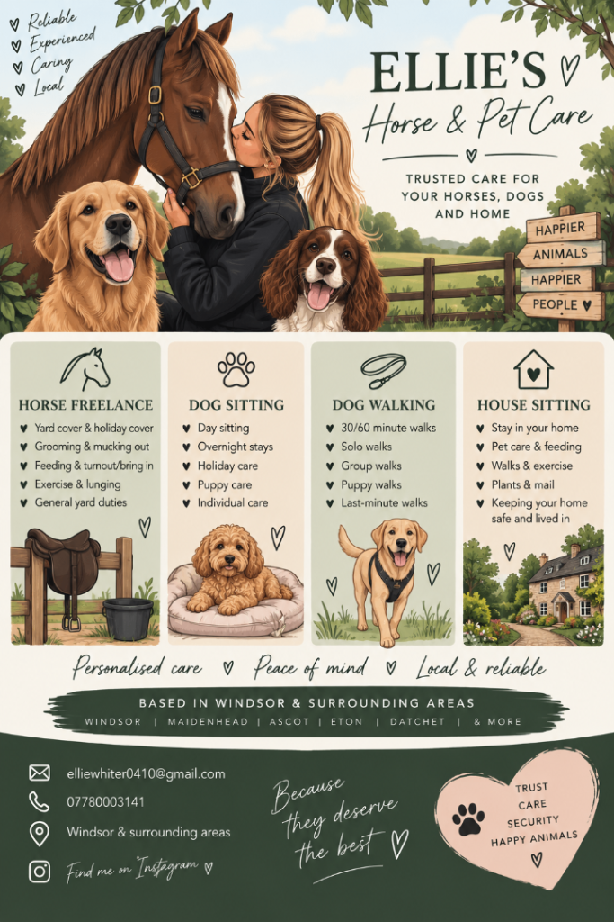 Trusted Equine, Pet & House Sitting Services | Windsor & Surrounding Areas