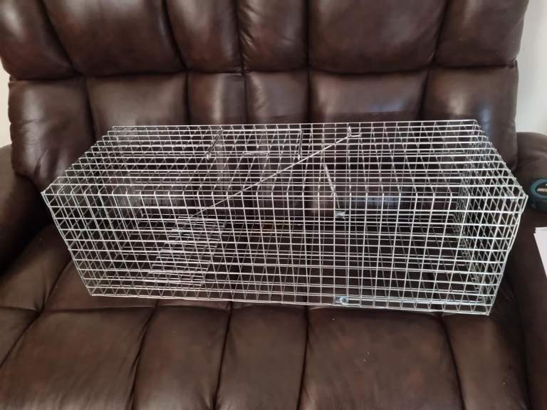 Feral Stray Missing Trapman Cat Trap 