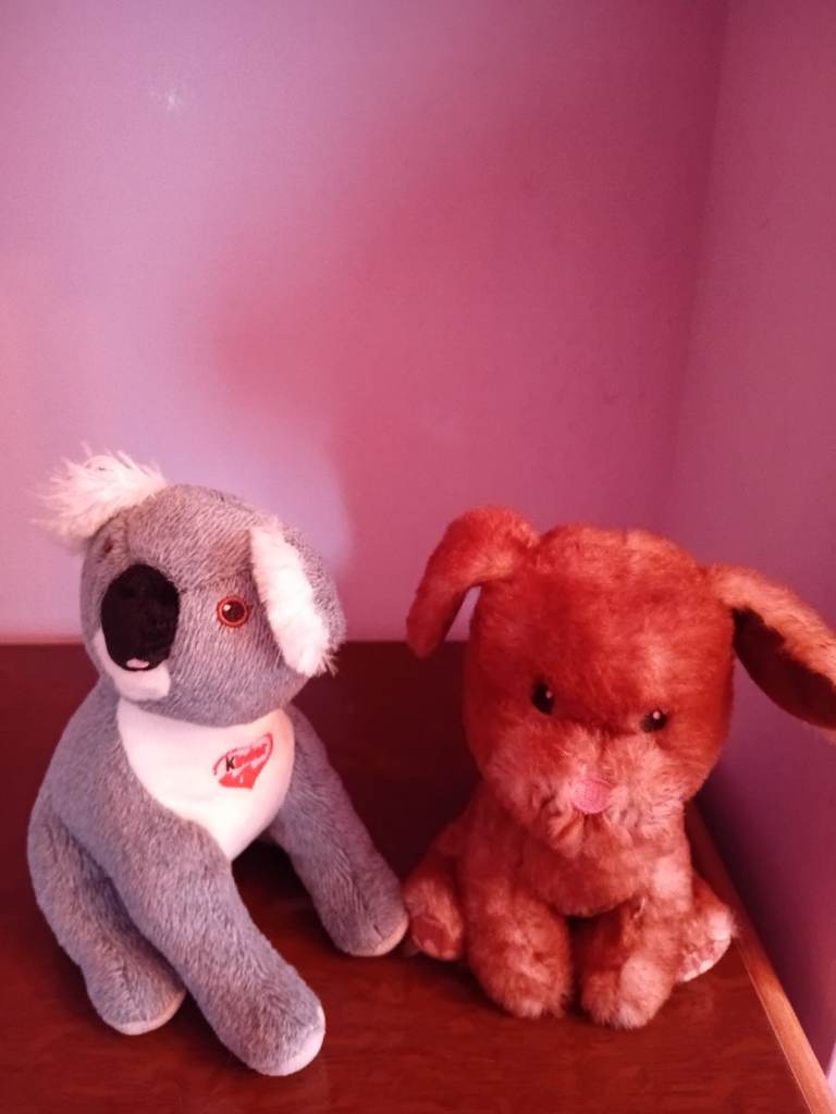 2 Small Soft Toys