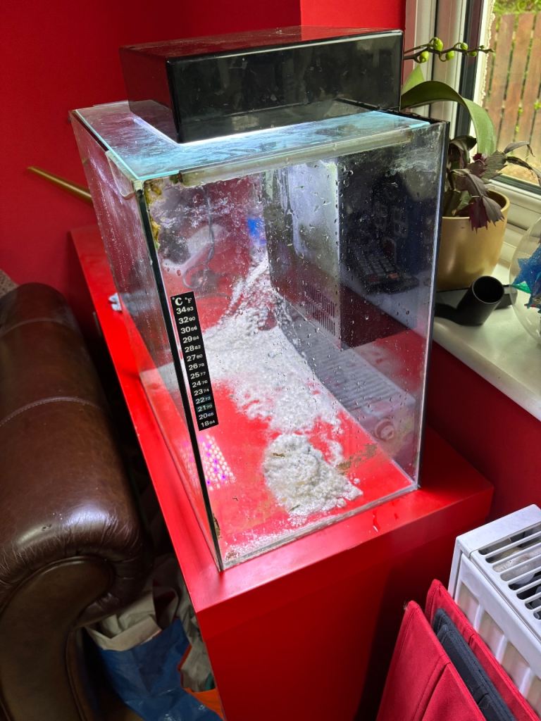 Fish Tank - Aqua One 37