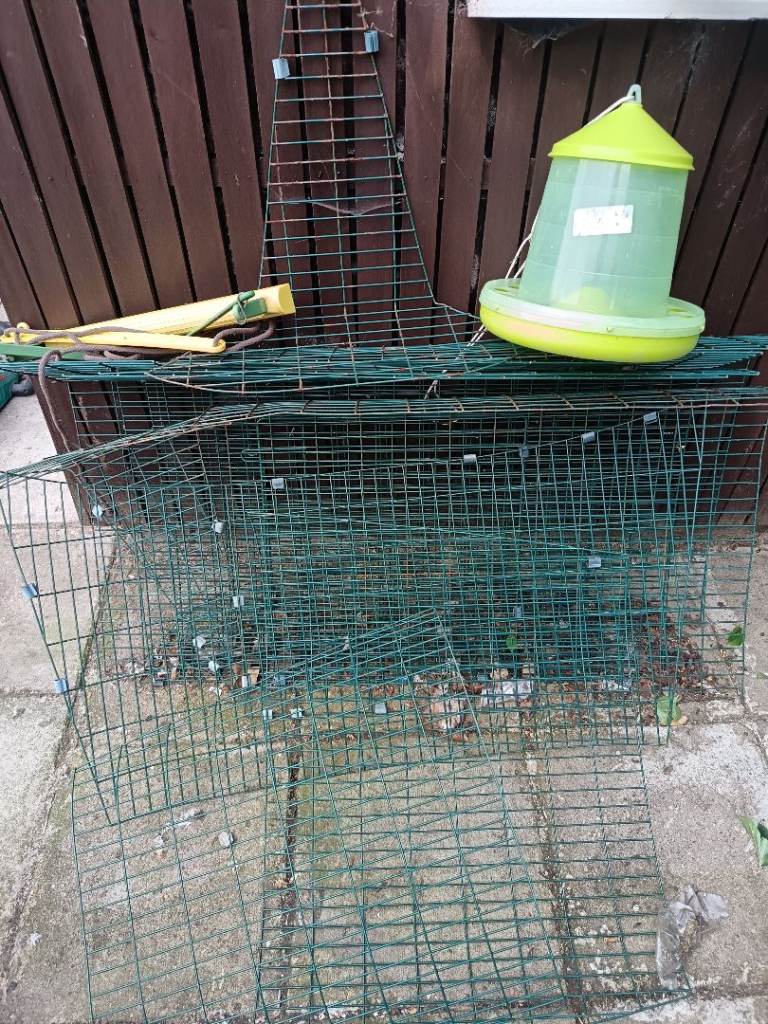 Omlet Eglu Go Chicken Run with a FREE swing and feeder