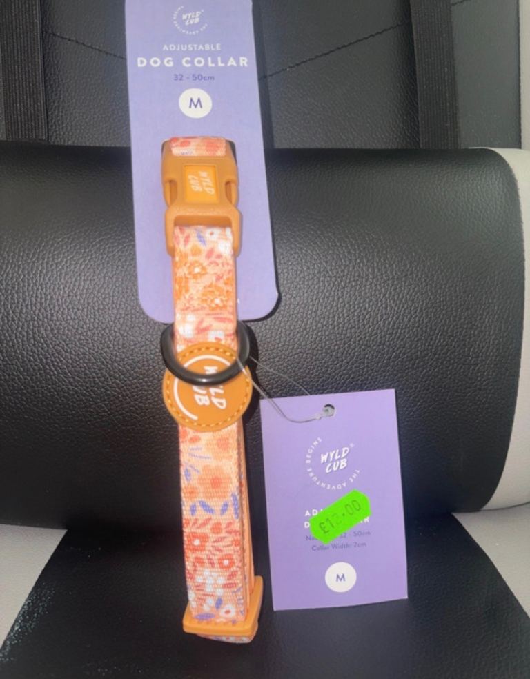 Dog Collar - Medium - Orange 
