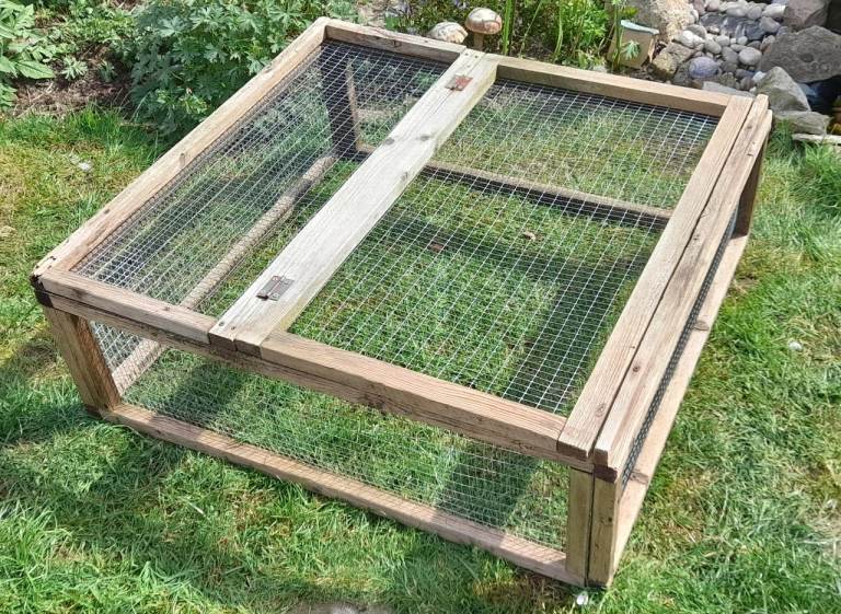 Guinea pig / small animal run