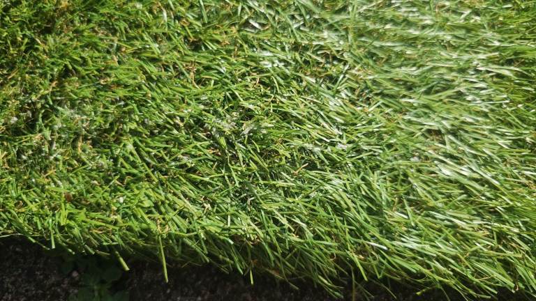 Garden Artificial Fake Grass Carpet 1m x 4m Roll
