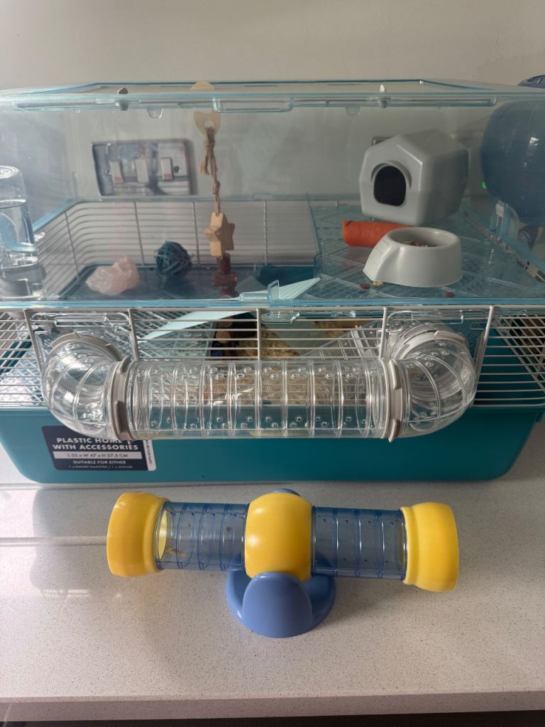 Hamster cage (hamster included) and lots more 