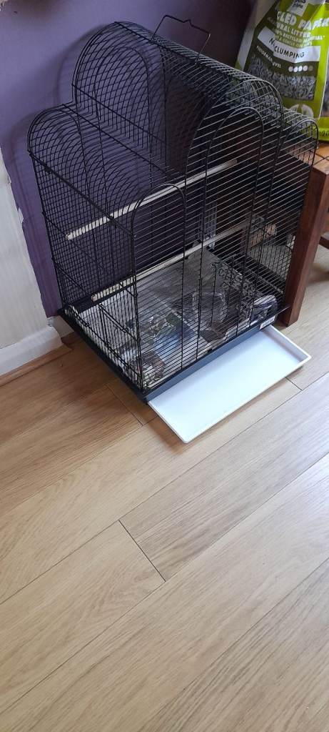 Stylish bird cage