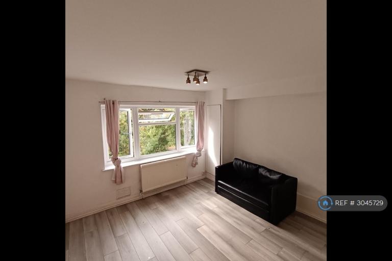 1 bedroom flat in Anerley Road, London, SE20 (1 bed) (#3045729)