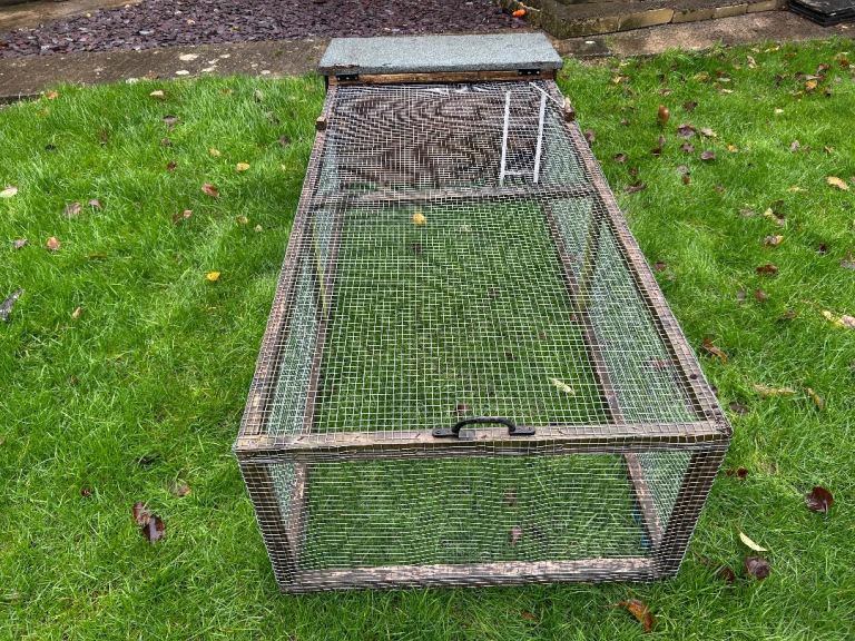 Guinea pig hutch & run