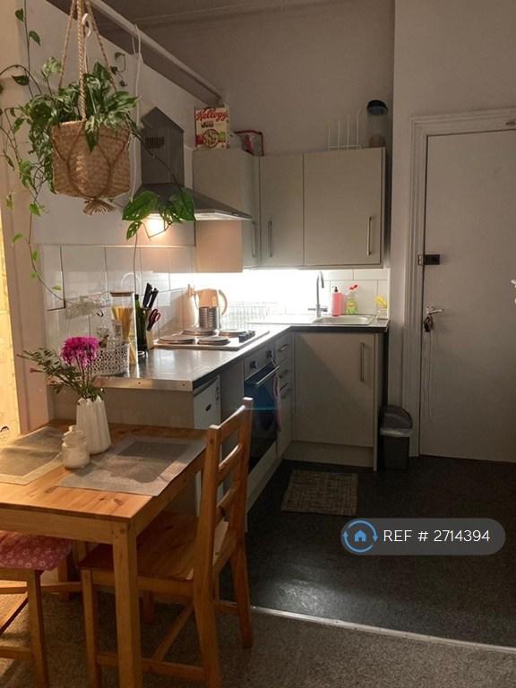 Studio flat in Elmore Road, Sheffield, S10 (#2714394)