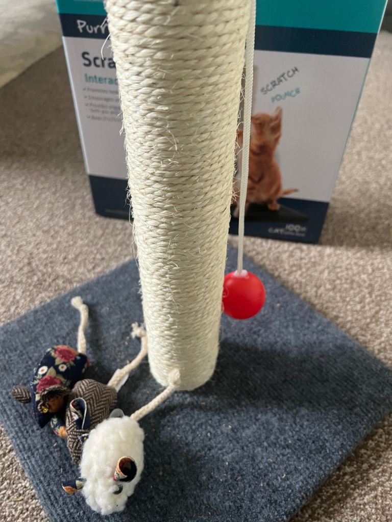Cat scratch post and other things 
