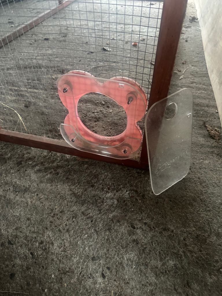 Guinea Pig/Rabbit Pen