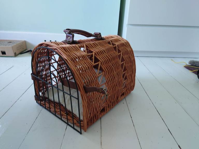 Small Cat Carrier