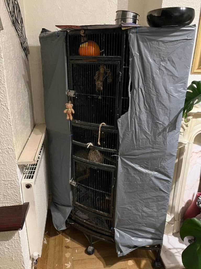 Large quadrant shaped bird cage complete with 14 finches 