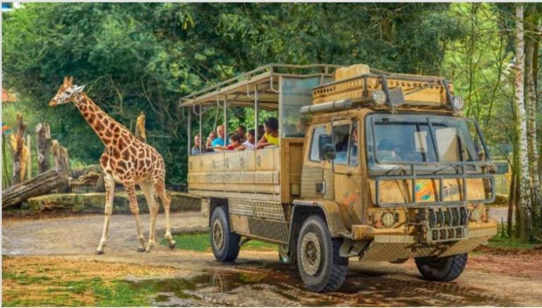 4 Tickets to Chessington World of Adventures Resort, Surrey. Save £'s this summer!
