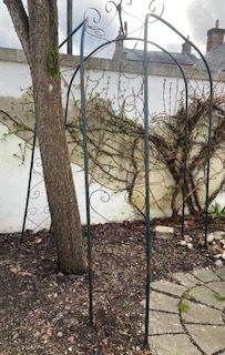 large triple climbing plant frame