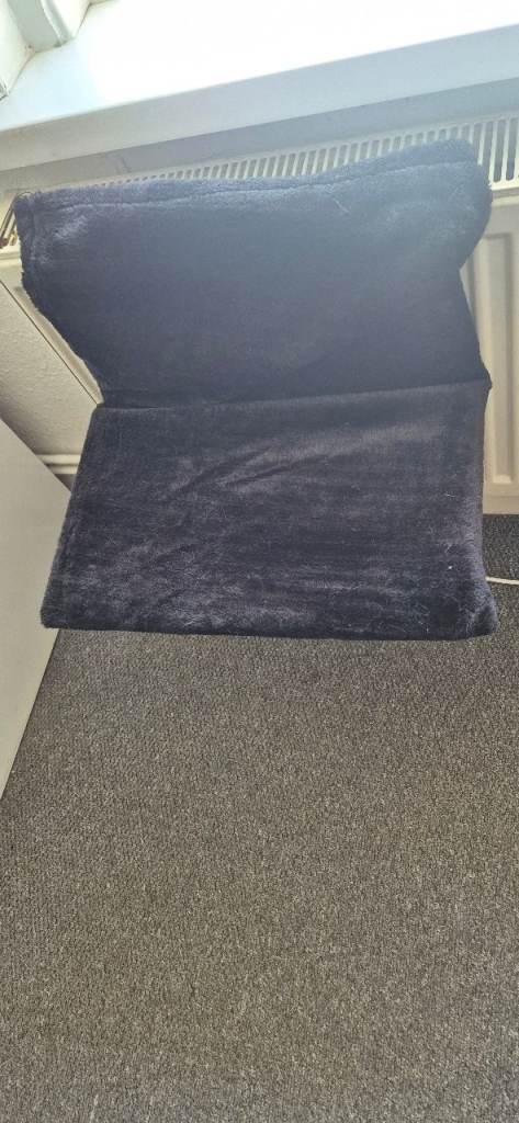 cat bed