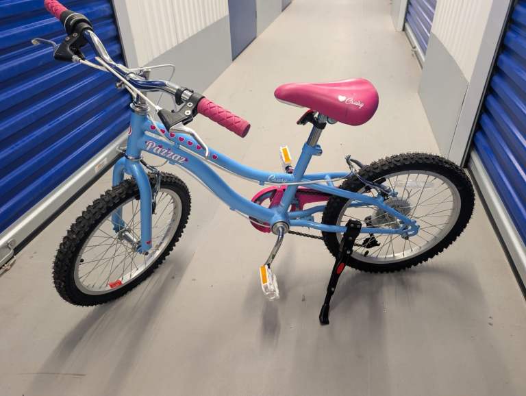 Pazzaz Blue & Pink Girls Bike