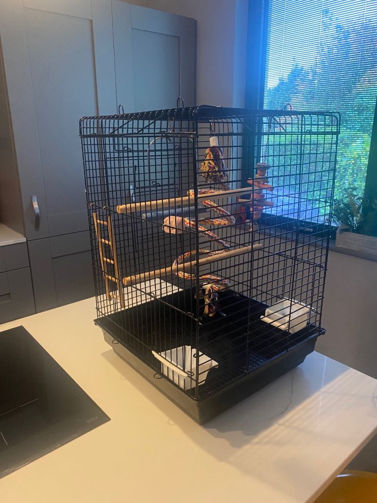 Bird cage