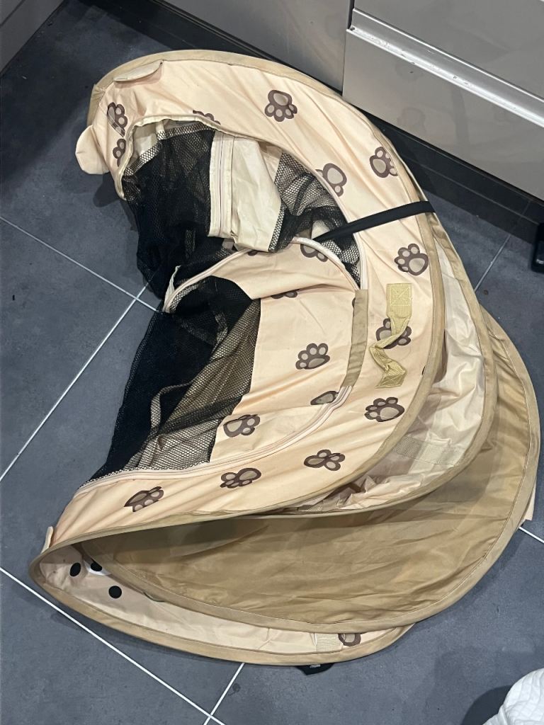 Pop up cat/kitten tent