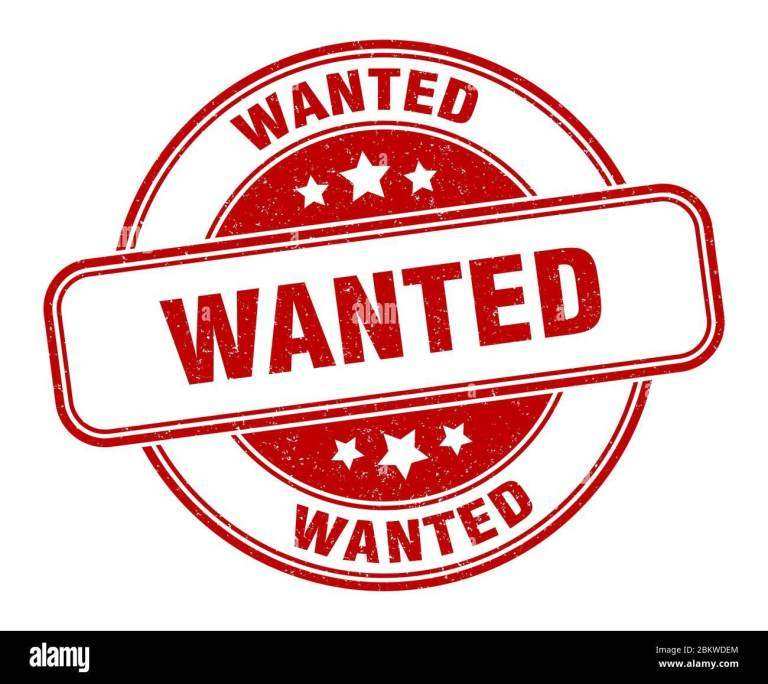 Wanted 29er bike (description 