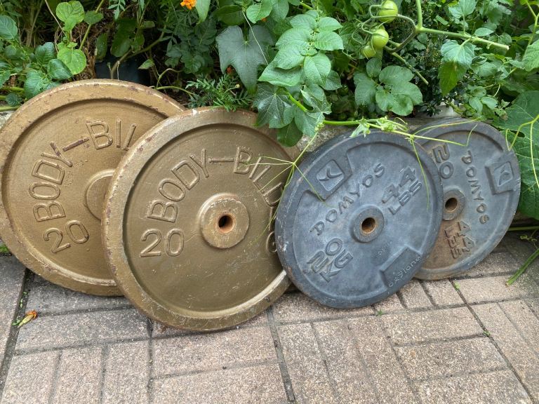 Weight plates