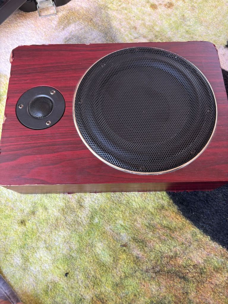 Car subwoofer 
