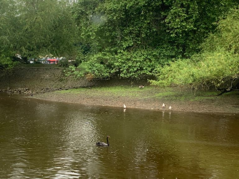 London mooring for narrowboat