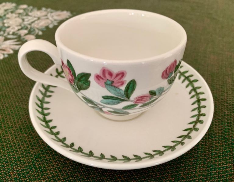 Port Meirion Tea Cup and Saucer