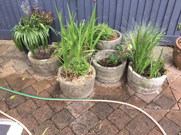 5 old plant pots