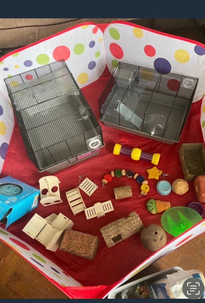 2 hamster cages 2 playpens accessories toys etc