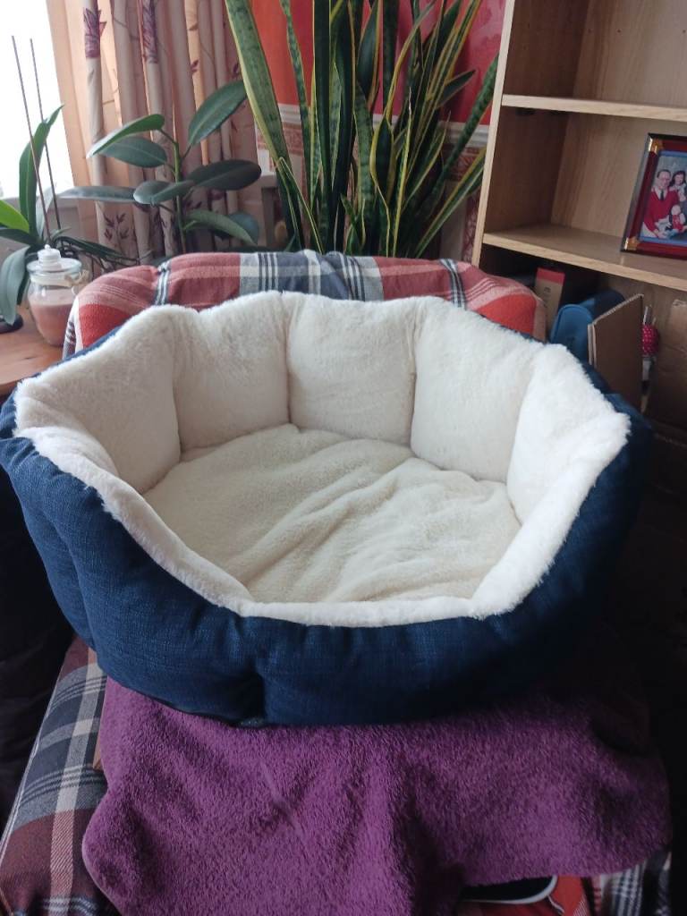 Plush Dog Bed