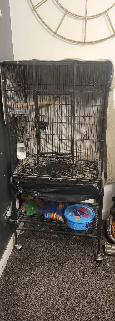 Birds cage for sell