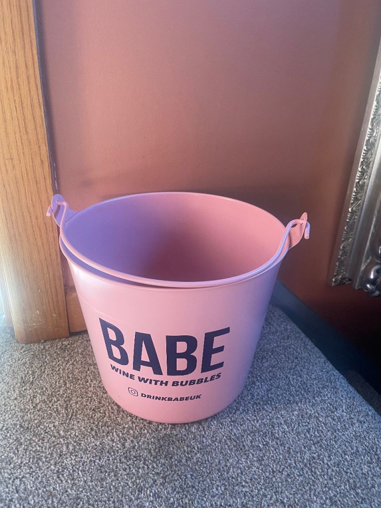 BABE Wine with Bubbles Ice Bucket - Pink metal, Good Condition